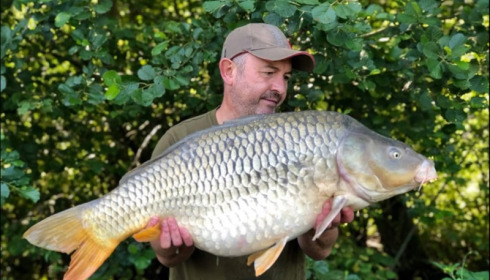 A carp from Jonchery 7, Jun 2019