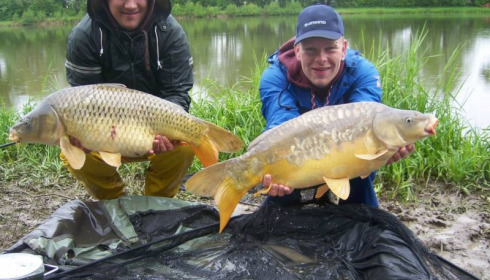 A carp from Jonchery 7, May 2013