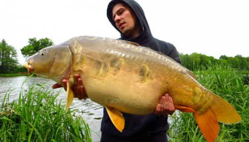 A carp from Jonchery 7, Jun 2013