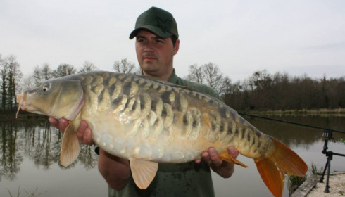 A carp from Jonchery 7, Apr 2014