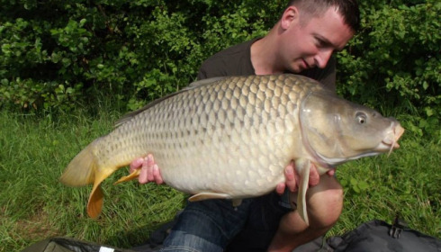 A carp from Jonchery 7, Jun 2013