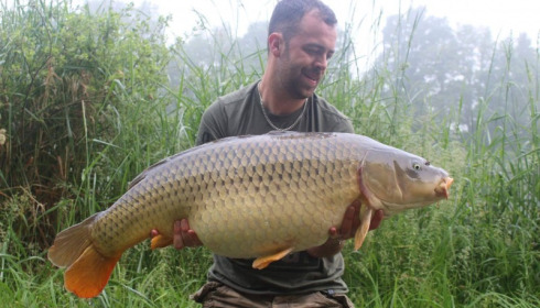 A carp from Jonchery 7, Jul 2016