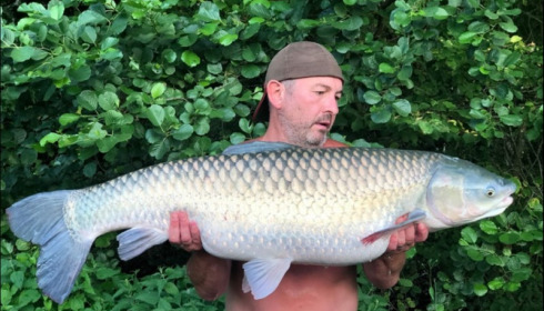 A grass carp from Jonchery 7, Jun 2019