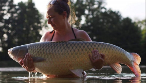 A grass carp from Jonchery 7, Jul 2018
