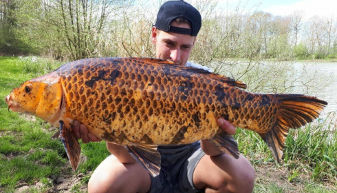 A carp from Jonchery 7, Apr 2018