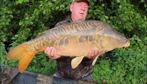 A carp from Jonchery 7, Jul 2019