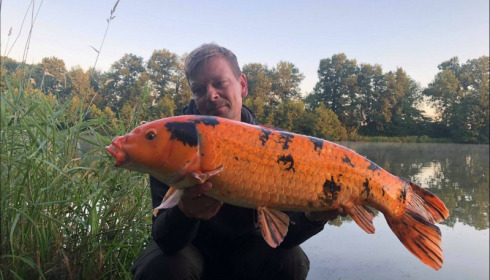 A carp from Jonchery 7, Jun 2018
