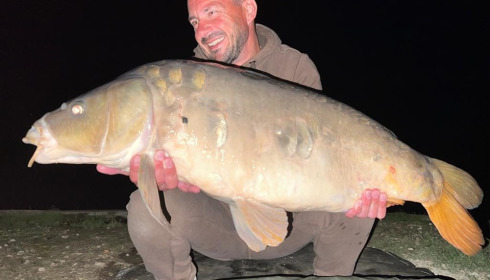 A carp from Jonchery 7, Aug 2022
