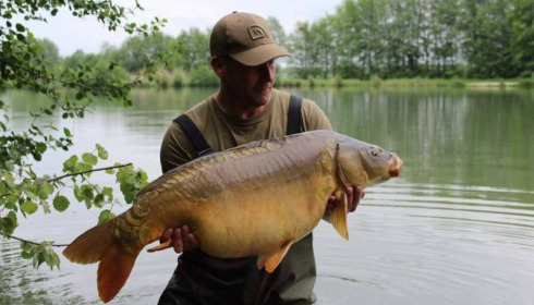A carp from Jonchery 7, May 2016