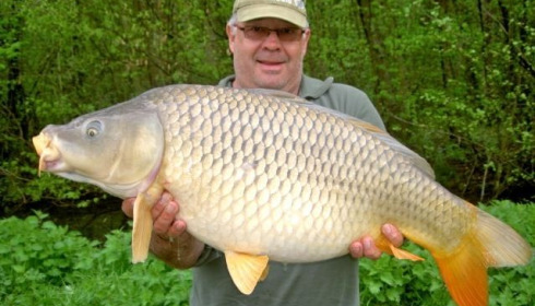 A carp from Jonchery 7, Apr 2013