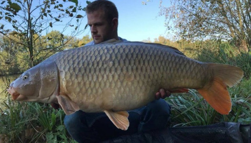 A carp from Jonchery 7, Oct 2017