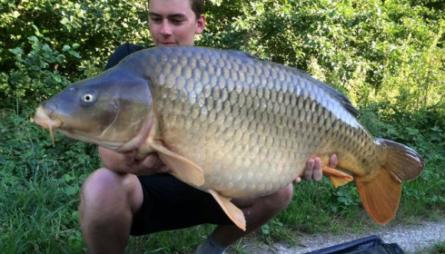 A carp from Jonchery 7, Aug 2015