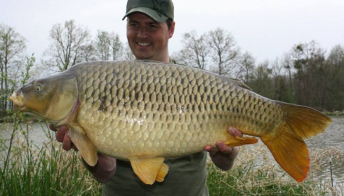 A carp from Jonchery 7, Apr 2014