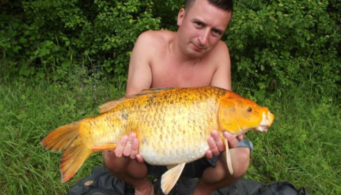 A carp from Jonchery 7, Jun 2013