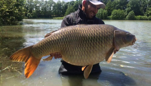 A carp from Jonchery 7, Jul 2016