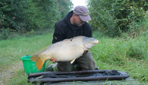 A carp from Jonchery 7, Sep 2014
