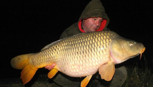 A carp from Jonchery 7, May 2013