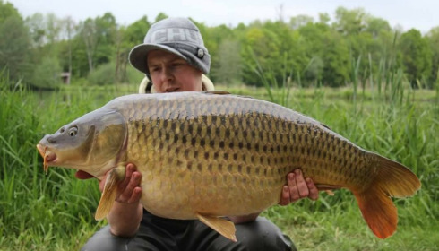 A carp from Jonchery 7, May 2017