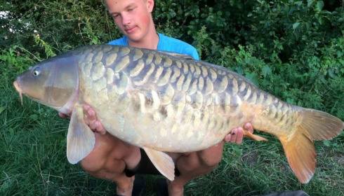 A carp from Jonchery 7, Aug 2015