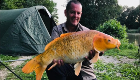 A carp from Jonchery 7, Aug 2019