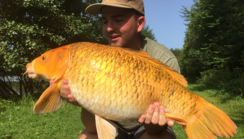 A carp from Jonchery 7, Cameron Goodall , Aug 2017