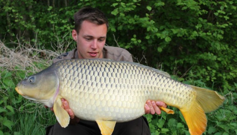 A carp from Jonchery 7, Apr 2014