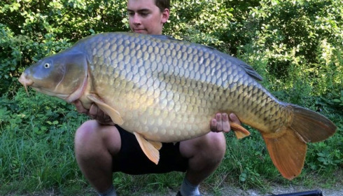 A carp from Jonchery 7, Aug 2015