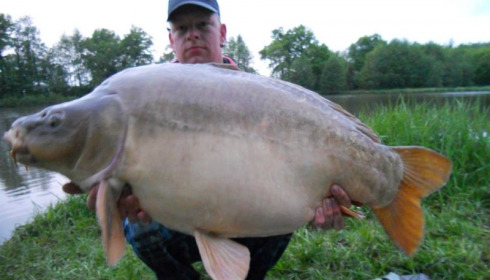 A carp from Jonchery 7, May 2013