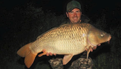 A carp from Jonchery 7, Jun 2015