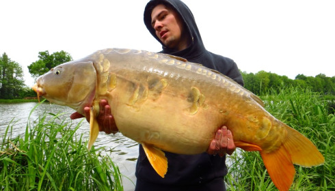 A carp from Jonchery 7, Jun 2013