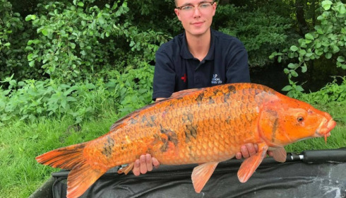 A carp from Jonchery 7, Jul 2017