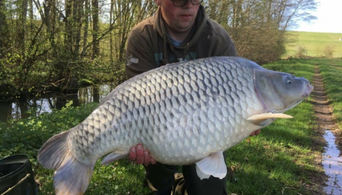 A carp from Jonchery 7, Mar 2017