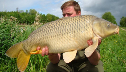 A carp from Jonchery 7, Stuart & John Payne, May 2014