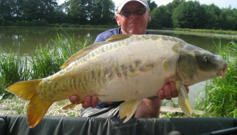 A carp from Jonchery 7, Jul 2013