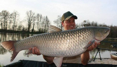 A grass carp from Jonchery 7, Apr 2014