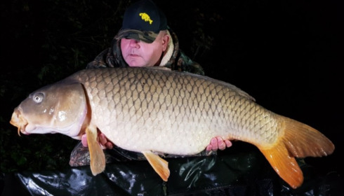 A carp from Jonchery 7, Nov 2019