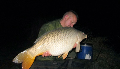 A 31 lb 12 oz carp from Jonchery 7, Jonathon Smith, Oct 2016