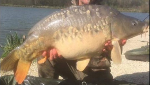 A carp from Jonchery 7, Apr 2019