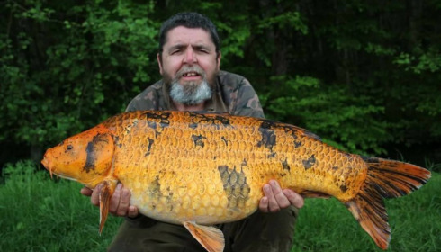 A carp from Jonchery 7, May 2017