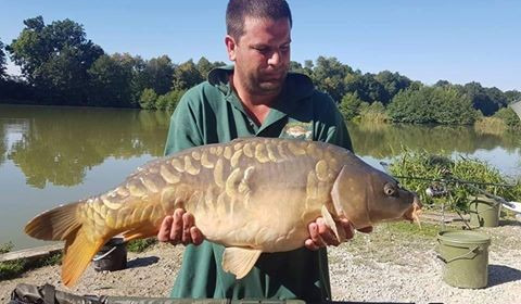 A carp from Jonchery 7, Aug 2016