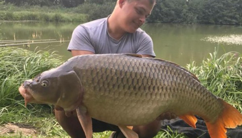 A carp from Jonchery 7, Aug 2017