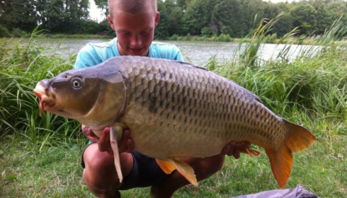A carp from Jonchery 7, Aug 2014