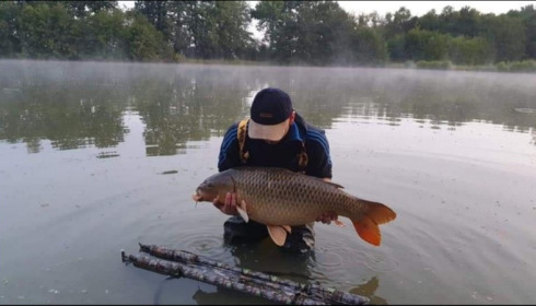 A carp from Jonchery 7, Aug 2019