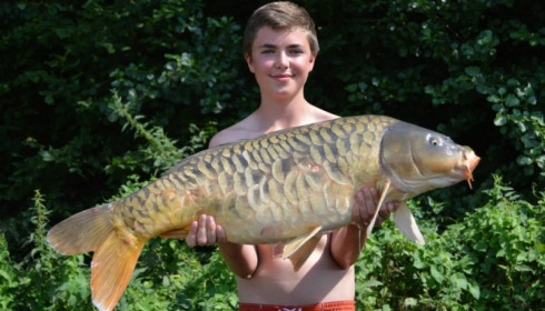 A carp from Jonchery 7, Aug 2014