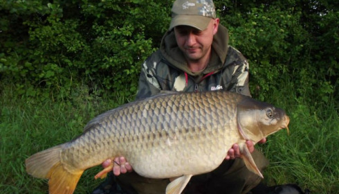 A carp from Jonchery 7, Jun 2013