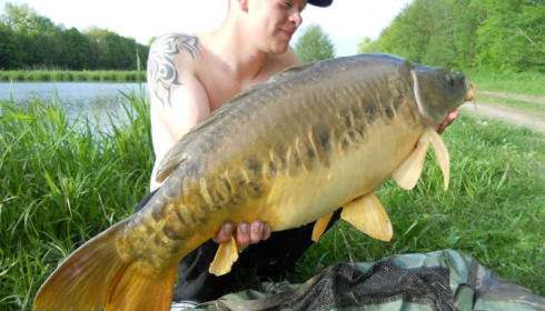 A carp from Jonchery 7, May 2013
