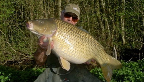 A carp from Jonchery 7, Apr 2013