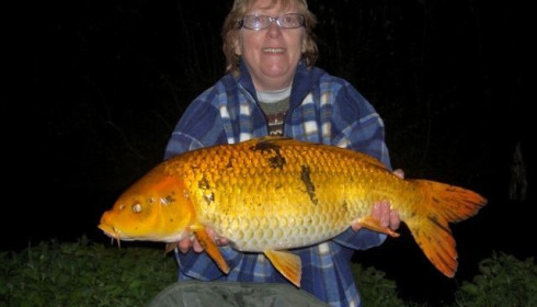 A carp from Jonchery 7, Apr 2013