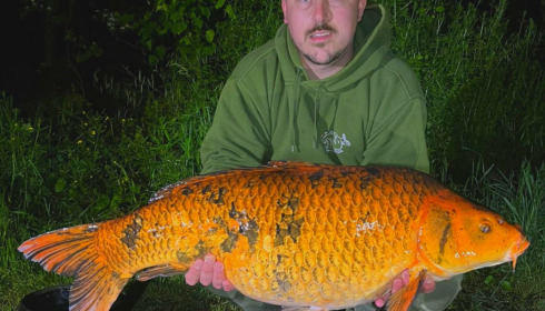 A 29 lb fish from Jonchery 8, Koi, May 2023