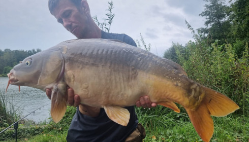 A fish from Jonchery 8, Aug 2023